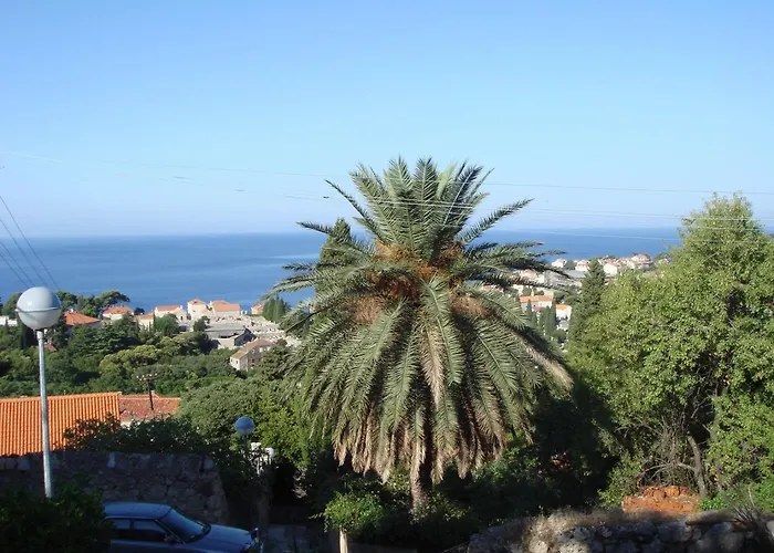 Rosetta Ragusa
